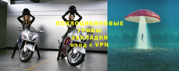 ешки Верея