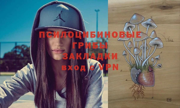 ешки Верея