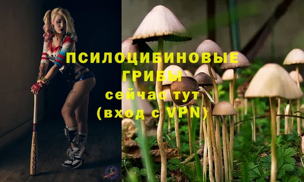 гашик Верхний Тагил