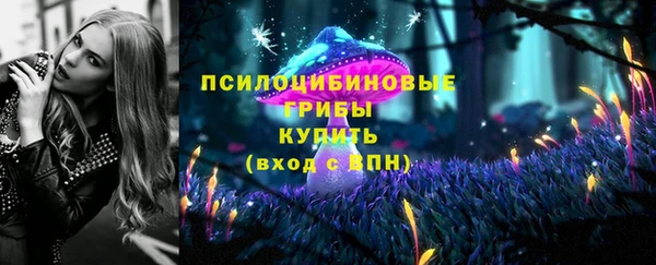 ешки Верея